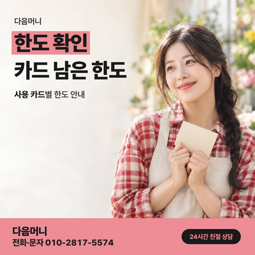 다음머니 홍성카드깡 바뀐 한도를 다시 조회하는 고객